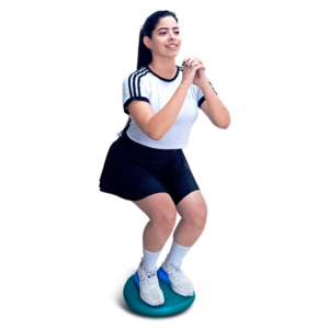 Disco Vestibular