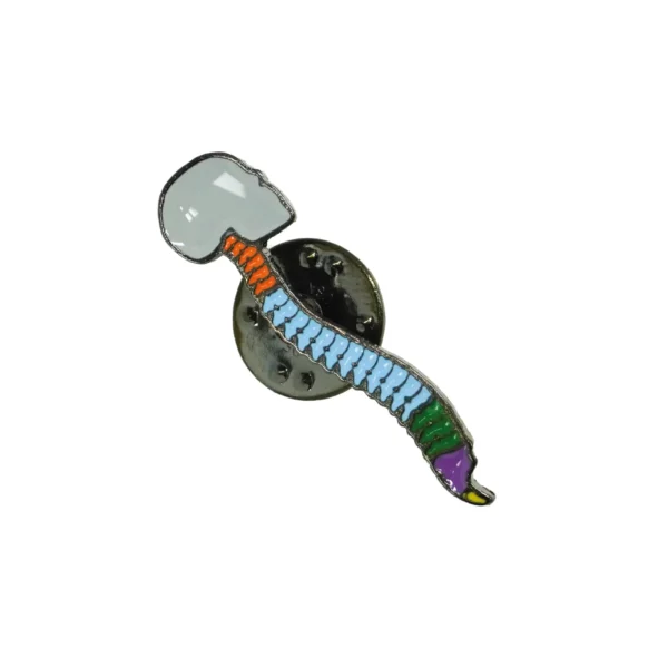 columna-vertebral-multicolor-con-craneo-scaled-1.webp Pin Columna Vertebral Multicolor con Cráneo