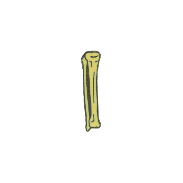 Pin Tibia y Peroné Pin Tibia y Peroné